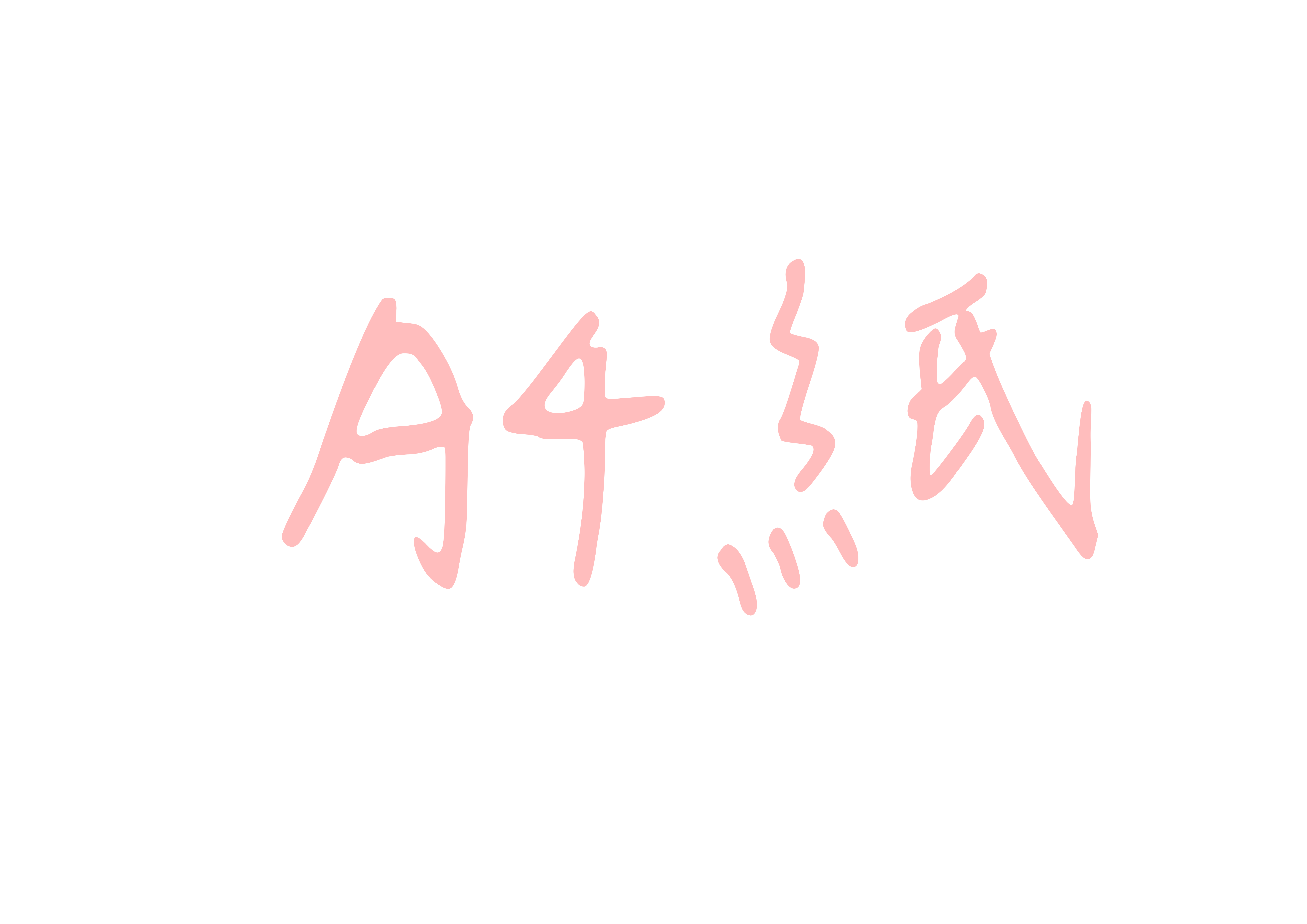 國旗 4
